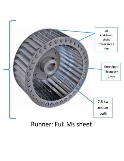 Runner